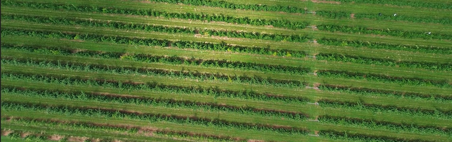 Larriland Farm