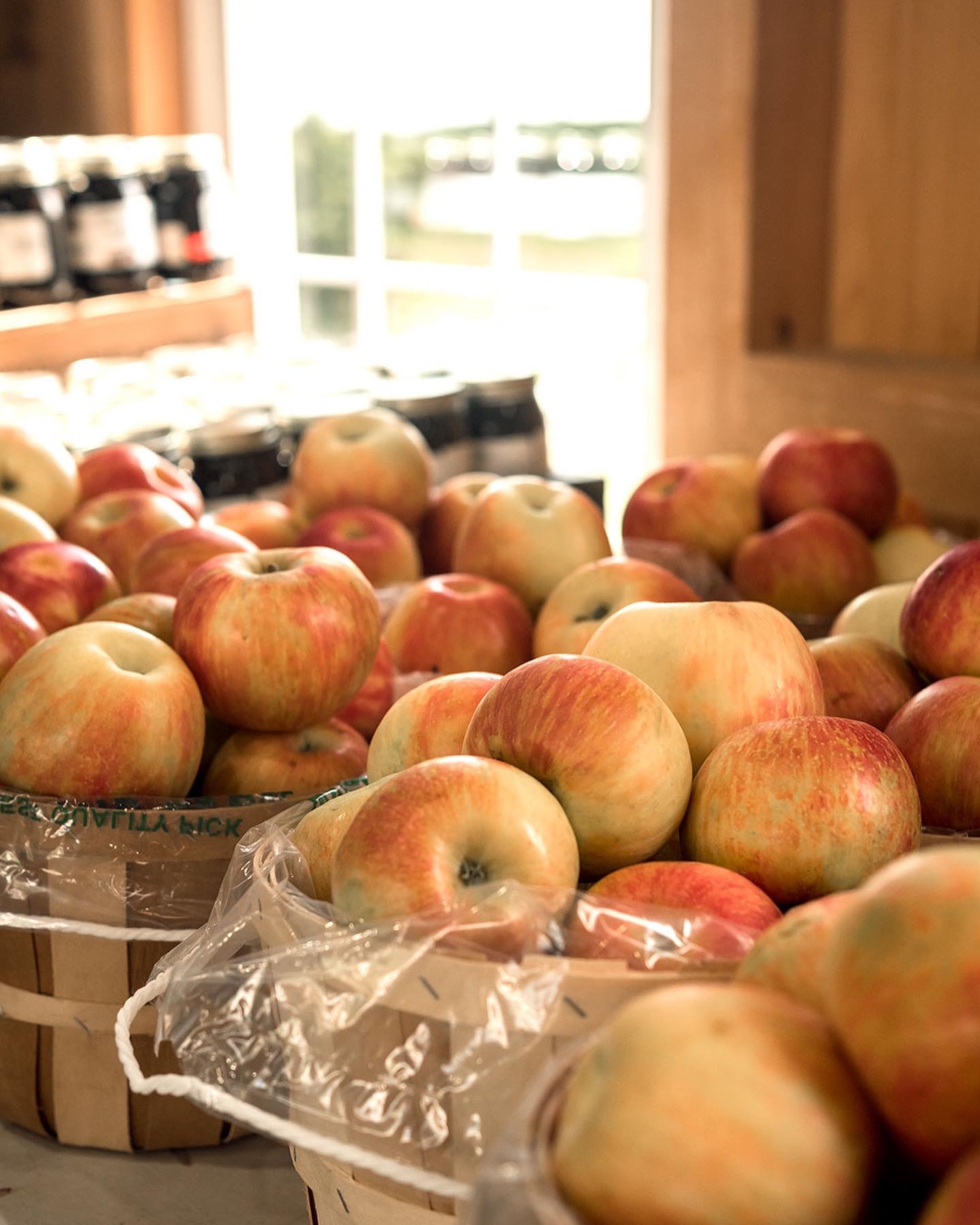 Apples display at the Red Barn market