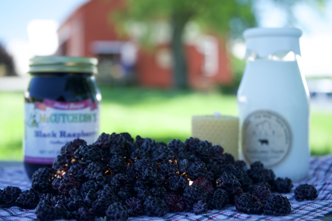 BlackRaspberryBasket