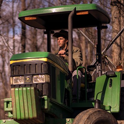 Harvest time