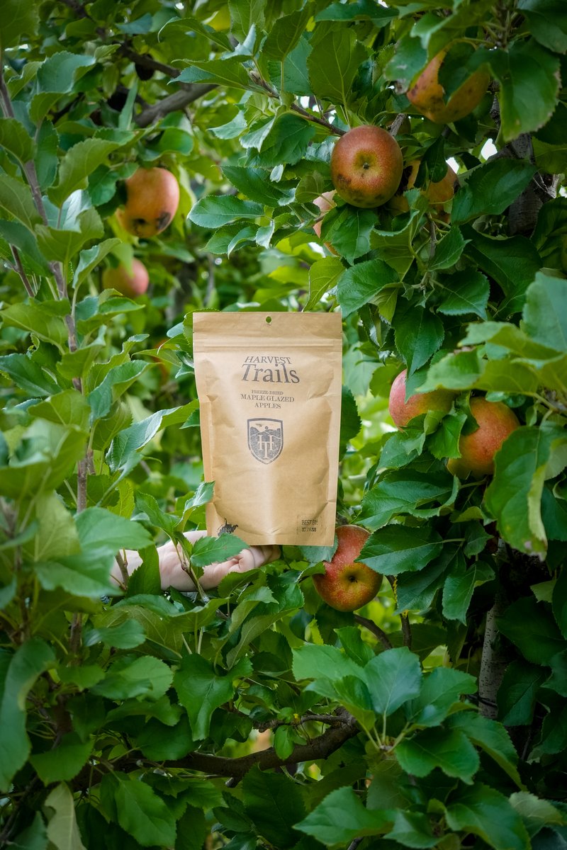 FreezeDriedApples